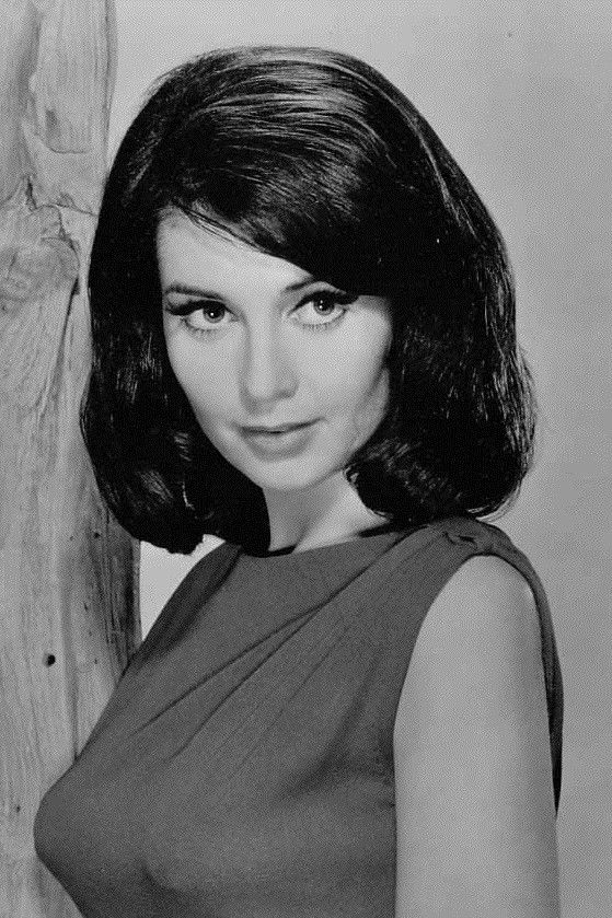 Anjanette Comer — фото 1