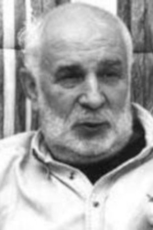 Анатолий Ромов