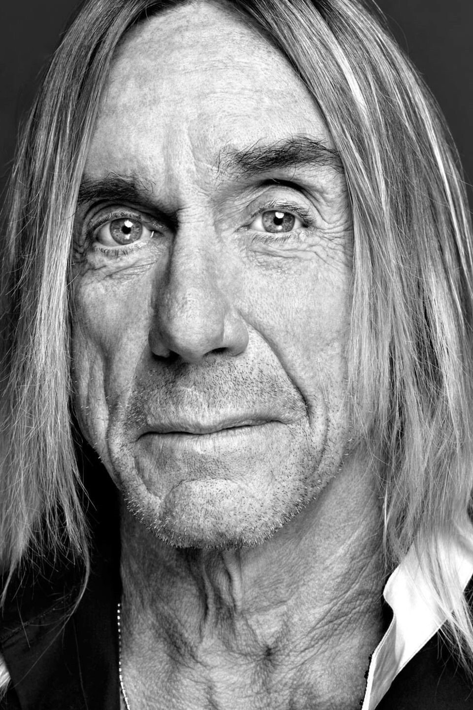 Iggy Pop — фото 2