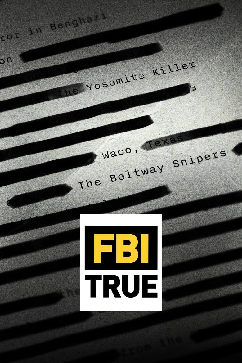 Постер серіалу FBI TRUE